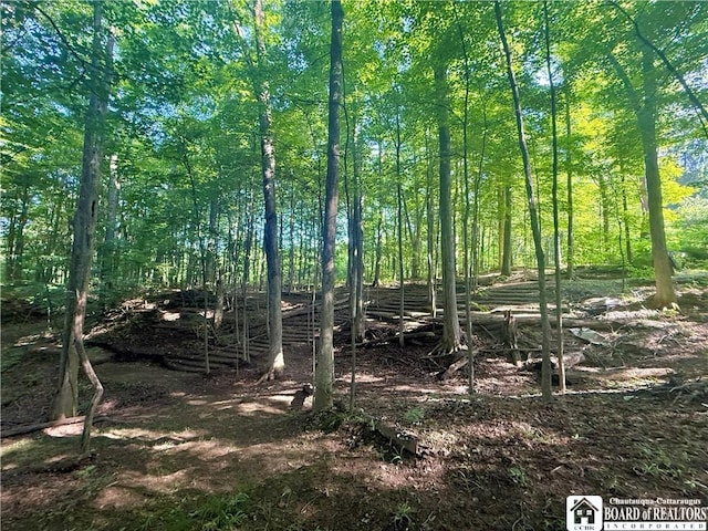 4261 Gerry Levant Rd, Gerry, NY 14740 - photo 4