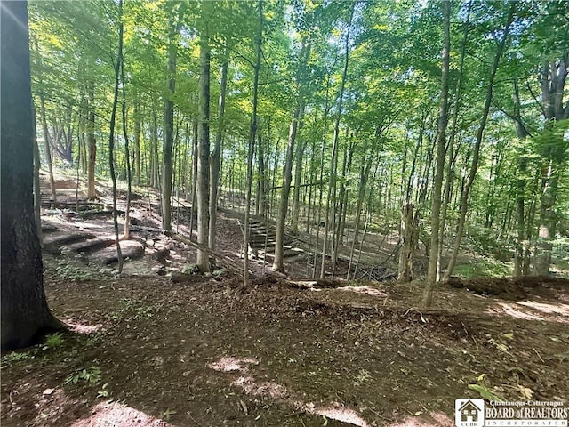 4261 Gerry Levant Rd, Gerry, NY 14740 - photo 5