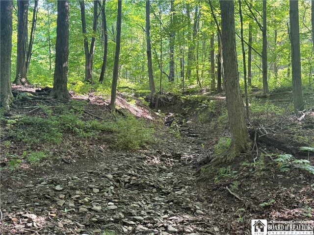 4261 Gerry Levant Rd, Gerry, NY 14740 - photo 6