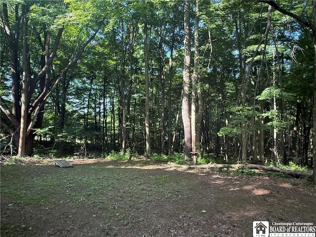 4261 Gerry Levant Rd, Gerry, NY 14740 - photo 8