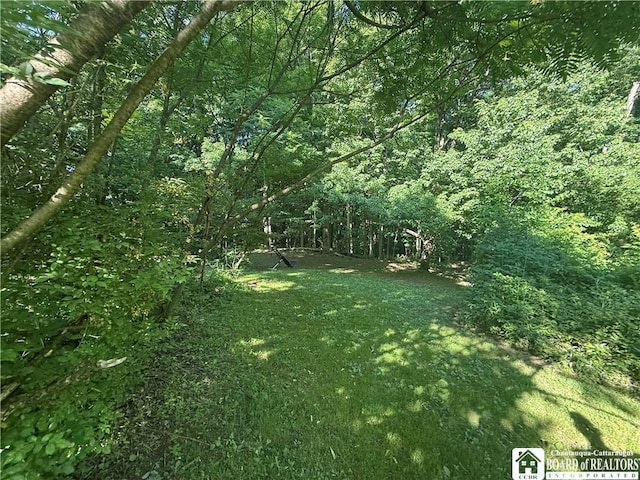 4261 Gerry Levant Rd, Gerry, NY 14740 - photo 10