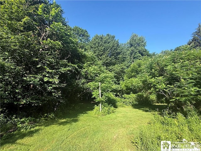 4261 Gerry Levant Rd, Gerry, NY 14740 - photo 11
