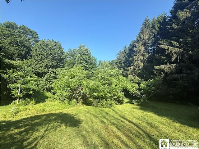 4261 Gerry Levant Rd, Gerry, NY 14740 - photo 12