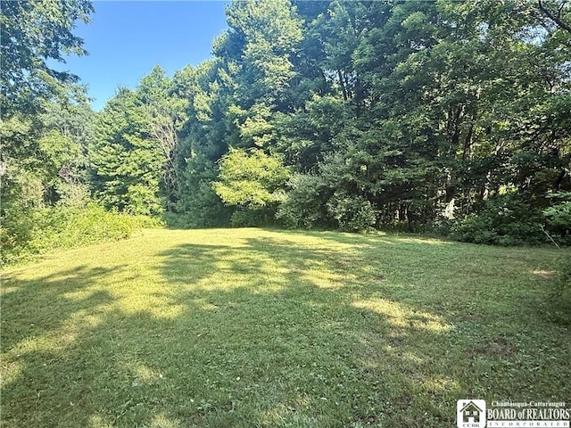 4261 Gerry Levant Rd, Gerry, NY 14740 - photo 13