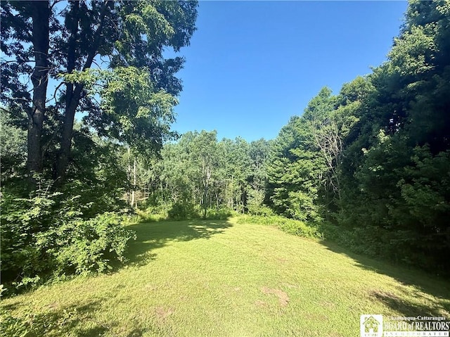 4261 Gerry Levant Rd, Gerry, NY 14740 - photo 14