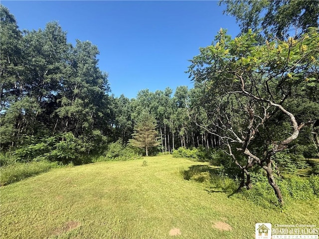 4261 Gerry Levant Rd, Gerry, NY 14740 - photo 16