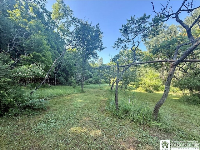 4261 Gerry Levant Rd, Gerry, NY 14740 - photo 17