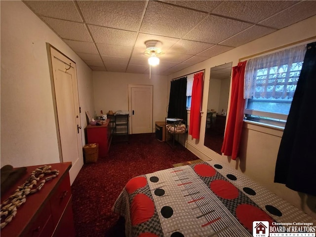 421 Falconer St, Jamestown, NY 14701 - carpeted bedroom with a paneled ceiling
