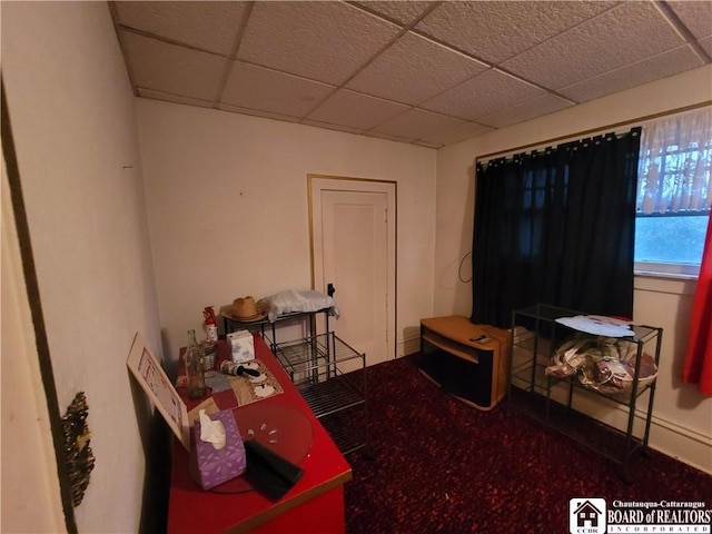 421 Falconer St, Jamestown, NY 14701 - misc room with a drop ceiling
