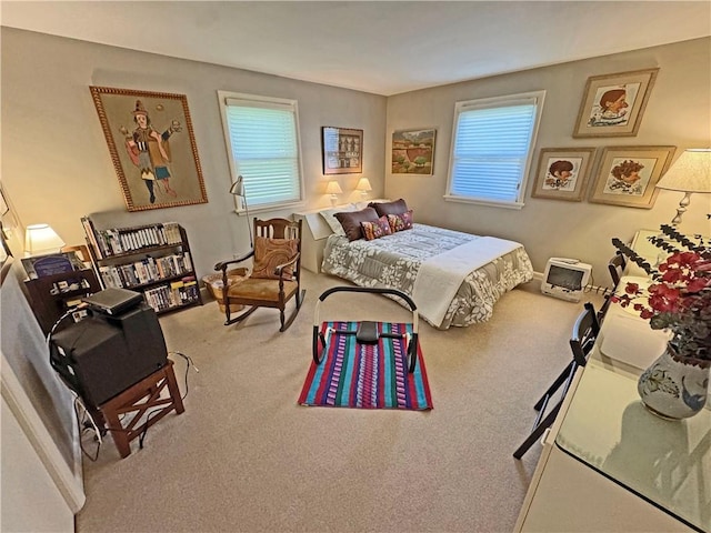 10 Danbury Cir N, Brighton, NY 14618 - view of carpeted bedroom