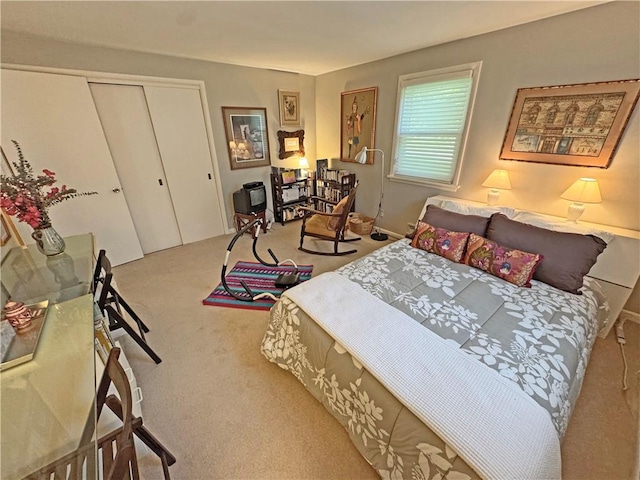 10 Danbury Cir N, Brighton, NY 14618 - bedroom featuring carpet and a closet