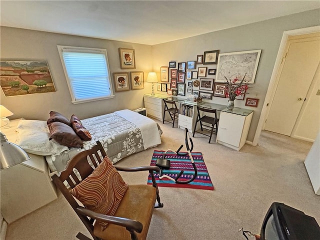 10 Danbury Cir N, Brighton, NY 14618 - view of carpeted bedroom