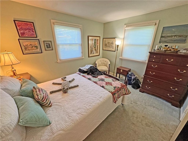 10 Danbury Cir N, Brighton, NY 14618 - bedroom with carpet