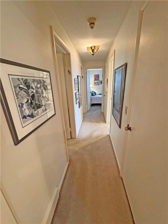 10 Danbury Cir N, Brighton, NY 14618 - corridor featuring light colored carpet and baseboards