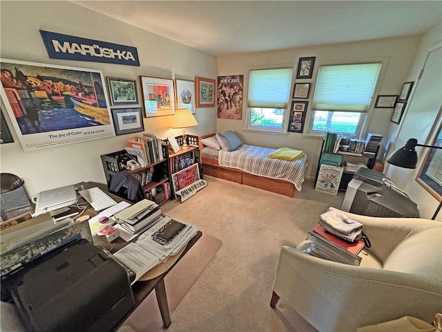10 Danbury Cir N, Brighton, NY 14618 - bedroom featuring carpet floors and an office area