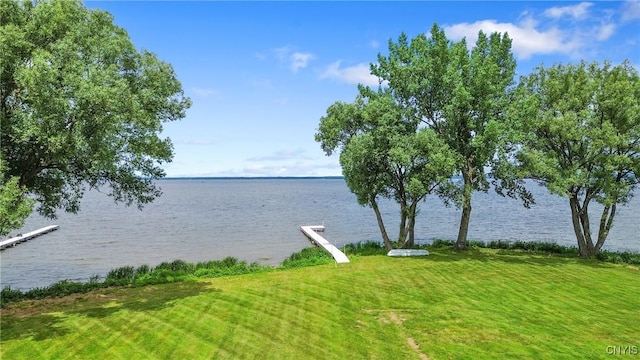 349 Barrett Ln, Sullivan, NY 13030 - photo 38