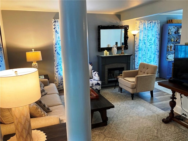 74 Cleveland Ave, Elmira, NY 14905 - living room featuring a glass covered fireplace and wood finished floors