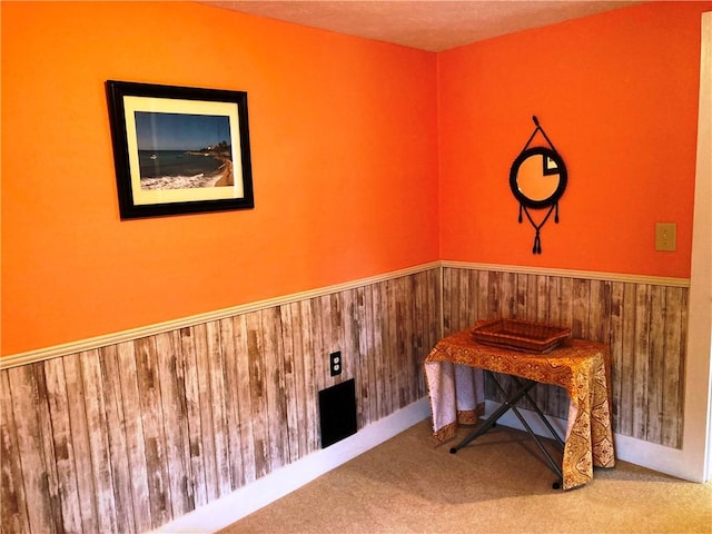 74 Cleveland Ave, Elmira, NY 14905 - unfurnished room with wainscoting, wood walls, and carpet