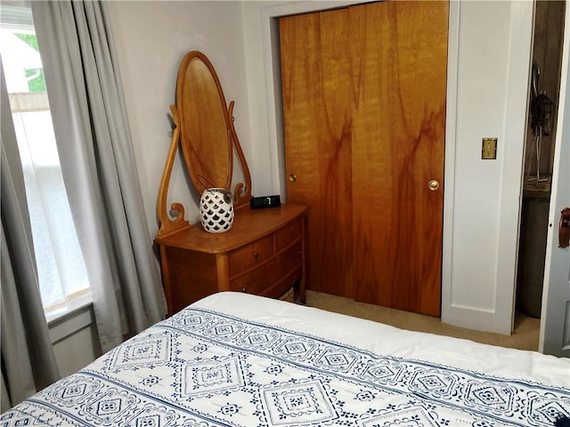 74 Cleveland Ave, Elmira, NY 14905 - carpeted bedroom featuring multiple windows
