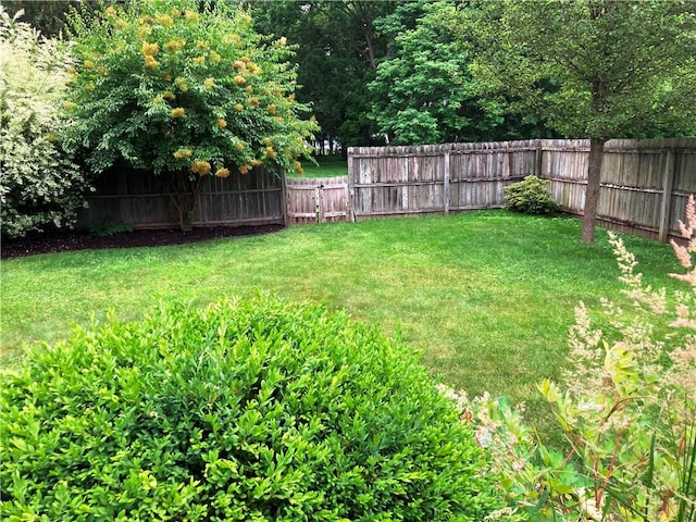 74 Cleveland Ave, Elmira, NY 14905 - view of fenced backyard