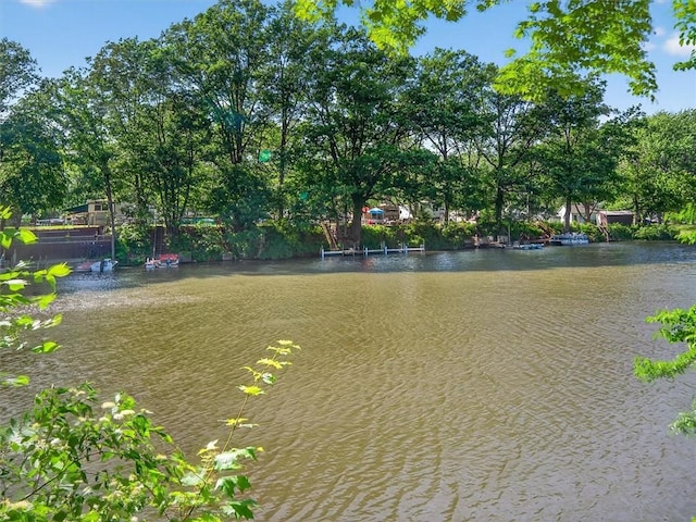 9 Tannery St, Carlton, NY 14571 - photo 38
