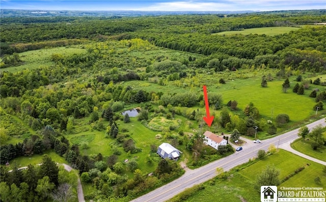 8765 Center Rd, Arkwright, NY 14718 - photo 24