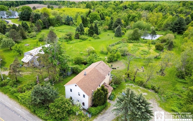 8765 Center Rd, Arkwright, NY 14718 - photo 26