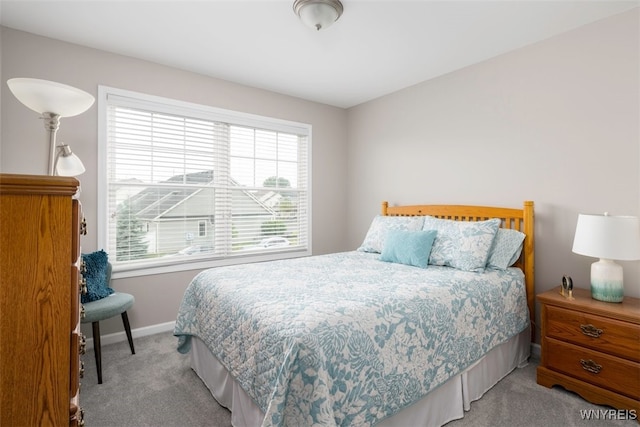 27 Brockton Dr, Lancaster, NY 14086 - photo 9