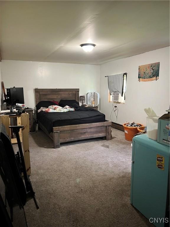 11 Canal St, Mentz, NY 13140 - bedroom featuring carpet flooring