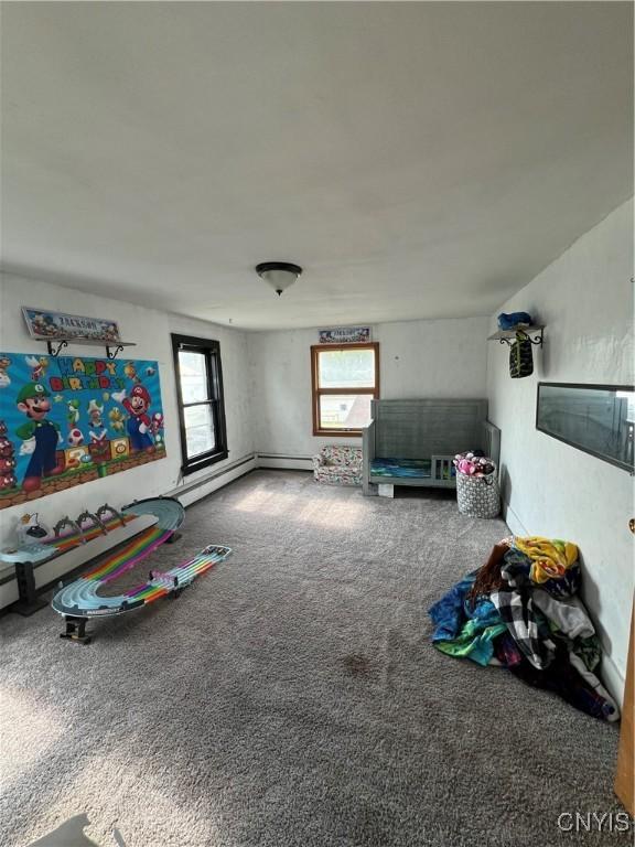 11 Canal St, Mentz, NY 13140 - rec room featuring carpet floors