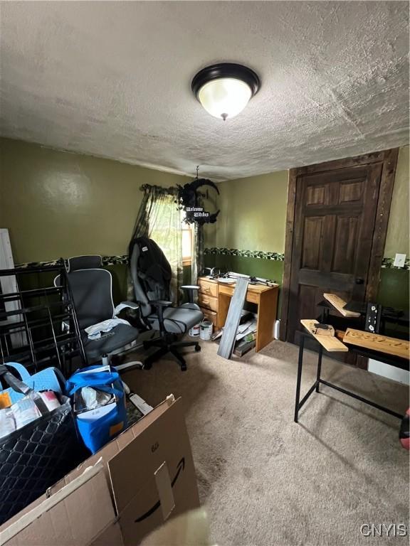 11 Canal St, Mentz, NY 13140 - office area featuring a textured ceiling and carpet