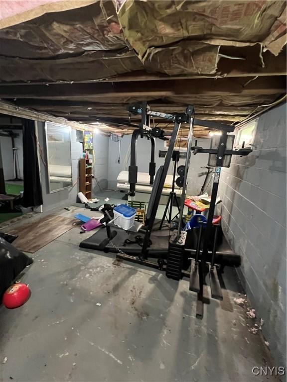 11 Canal St, Mentz, NY 13140 - view of workout room