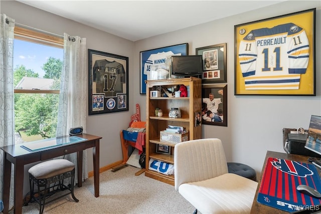 4024 Bond St, Hamburg, NY 14219 - office area with carpet floors and baseboards