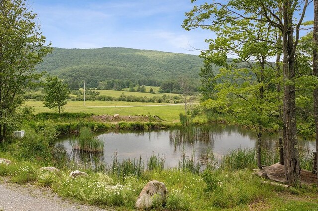 490 Ecker Hollow Rd, Middleburgh, NY 12157 - photo 16