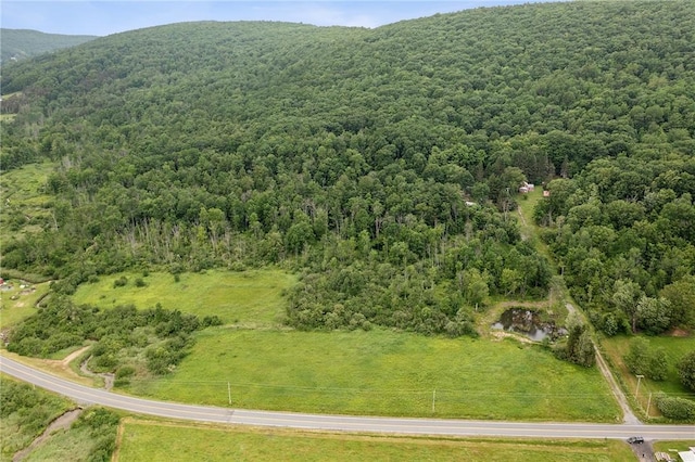 490 Ecker Hollow Rd, Middleburgh, NY 12157 - photo 17