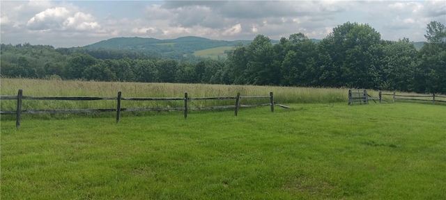 372 Windsong Rd, Harpersfield, NY 13786 - view of yard with a view of rural / pastoral area and a mountain view