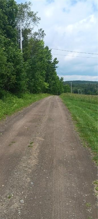 372 Windsong Rd, Harpersfield, NY 13786 - view of dirt / gravel road
