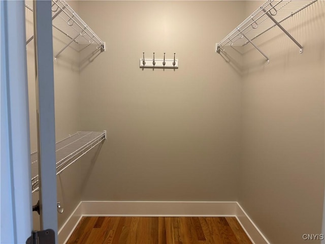 105 Austin Meadows Dr S, Manlius, NY 13104 - walk in closet featuring dark wood-type flooring