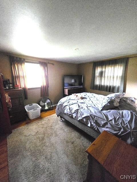 13 Ilex Ln, Clay, NY 13090 - photo 19