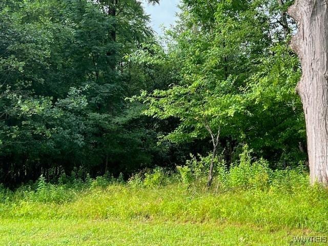 7 Reed Hill Dr, Aurora, NY 14052 - photo 19
