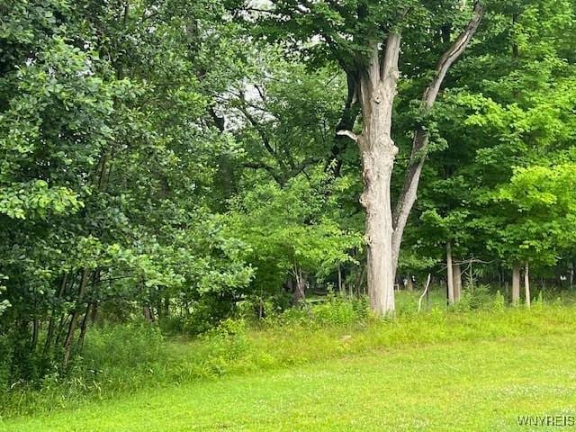 7 Reed Hill Dr, Aurora, NY 14052 - photo 21