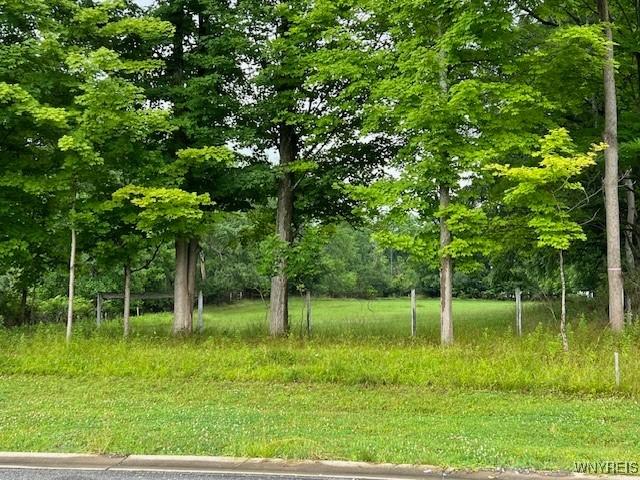 7 Reed Hill Dr, Aurora, NY 14052 - photo 22