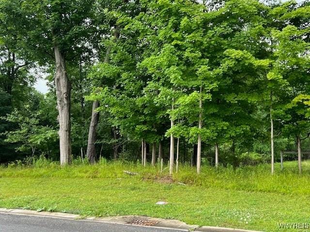 7 Reed Hill Dr, Aurora, NY 14052 - photo 23