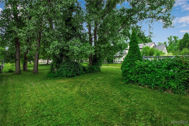 152 Pino Verde Ln, Amherst, NY 14221 - view of yard