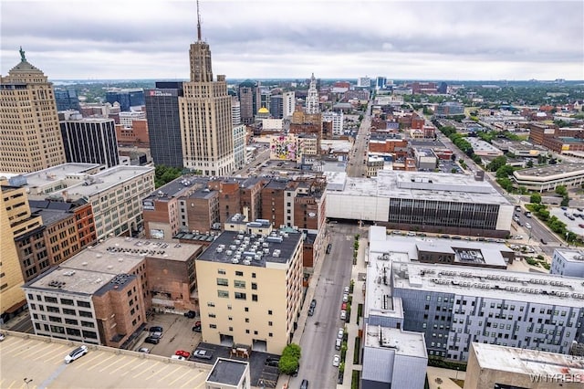 210 Ellicott St Unit 501, Buffalo, NY 14203 - view of city