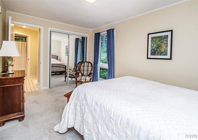 1929 Chard Rd, Cazenovia, NY 13035 - bedroom with carpet flooring, a closet, and crown molding