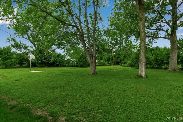 80 Alys Dr W, Cheektowaga, NY 14043 - photo 9