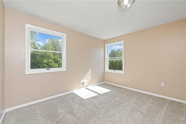 196 Buttonwood Dr, Greece, NY 14468 - photo 18