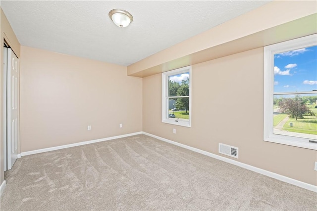 196 Buttonwood Dr, Greece, NY 14468 - photo 20
