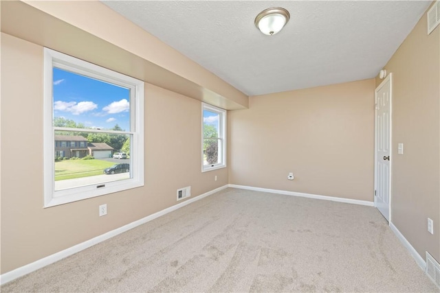 196 Buttonwood Dr, Greece, NY 14468 - photo 21